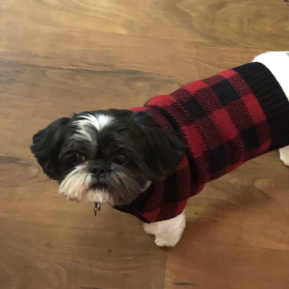 Meet your Posher, Shannon - Picture 2 of 2